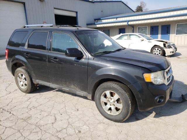 2011 Ford Escape Limited