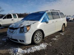 Vehiculos salvage en venta de Copart Des Moines, IA: 2009 Honda Odyssey EXL