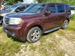 Honda salvage cars for sale: 2013 Honda Pilot EX