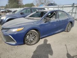 Salvage cars for sale from Copart Finksburg, MD: 2023 Toyota Camry XLE