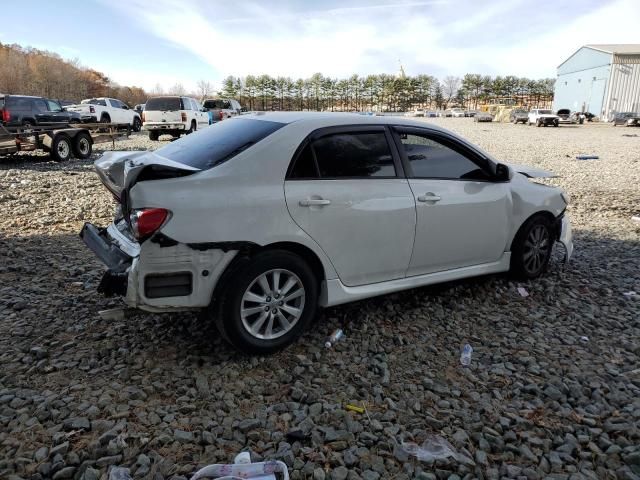 2010 Toyota Corolla Base