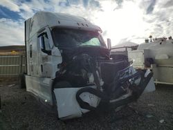 Freightliner salvage cars for sale: 2021 Freightliner Cascadia 126