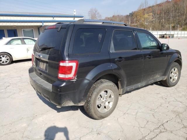 2011 Ford Escape Limited