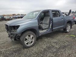 Salvage cars for sale at Eugene, OR auction: 2008 Toyota Tundra Crewmax Limited