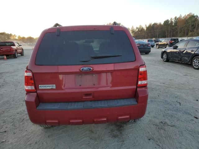 2011 Ford Escape XLT