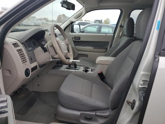 2009 Ford Escape XLT