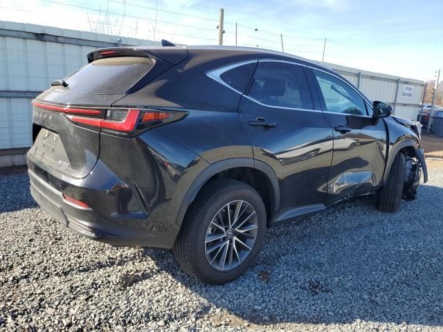 2023 Lexus NX 350