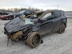 2017 Ford Escape SE for sale in Lawrenceburg, KY