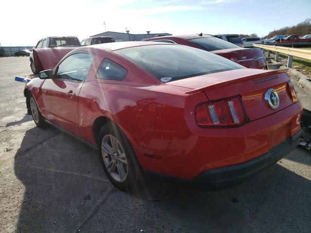 2010 Ford Mustang