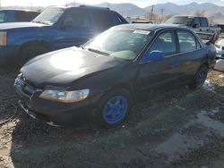 Honda Accord salvage cars for sale: 1999 Honda Accord LX