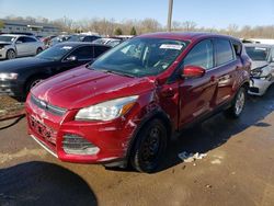 2015 Ford Escape SE en venta en Louisville, KY