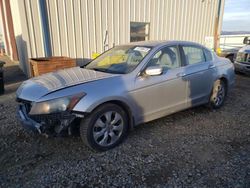 Salvage cars for sale from Copart Helena, MT: 2008 Honda Accord EXL
