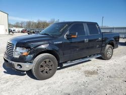 Salvage cars for sale from Copart Lawrenceburg, KY: 2012 Ford F150 Supercrew