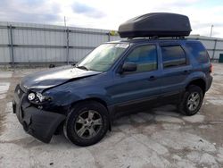 Salvage cars for sale at Walton, KY auction: 2006 Ford Escape XLT