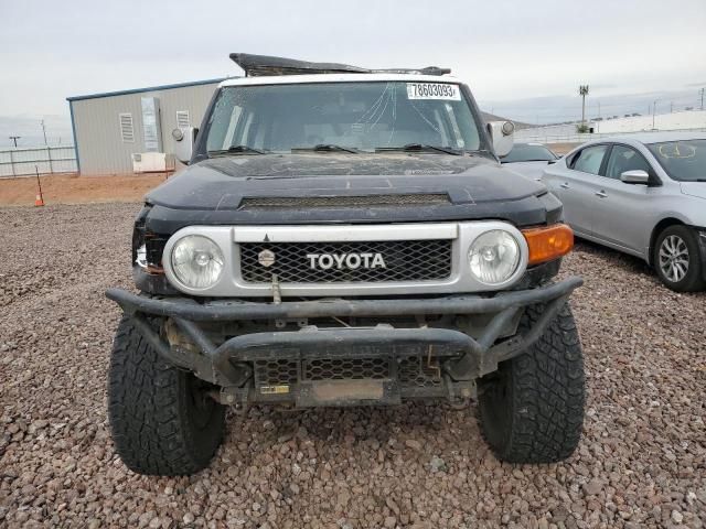 2010 Toyota FJ Cruiser