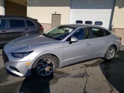 Hyundai Sonata salvage cars for sale: 2023 Hyundai Sonata SEL