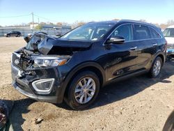 Salvage cars for sale at Louisville, KY auction: 2016 KIA Sorento LX