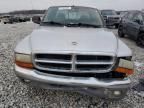 2002 Dodge Dakota SLT