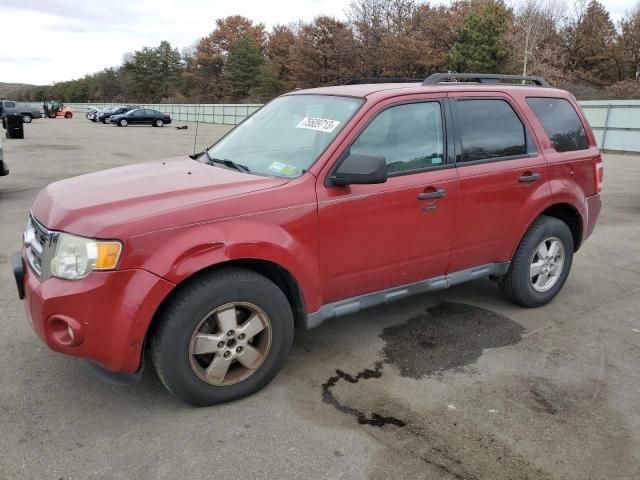 2010 Ford Escape XLT