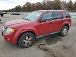 Vehiculos salvage en venta de Copart Brookhaven, NY: 2010 Ford Escape XLT