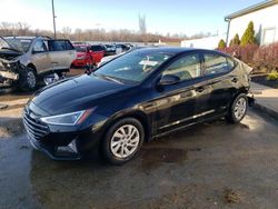 Salvage cars for sale at Louisville, KY auction: 2019 Hyundai Elantra SE