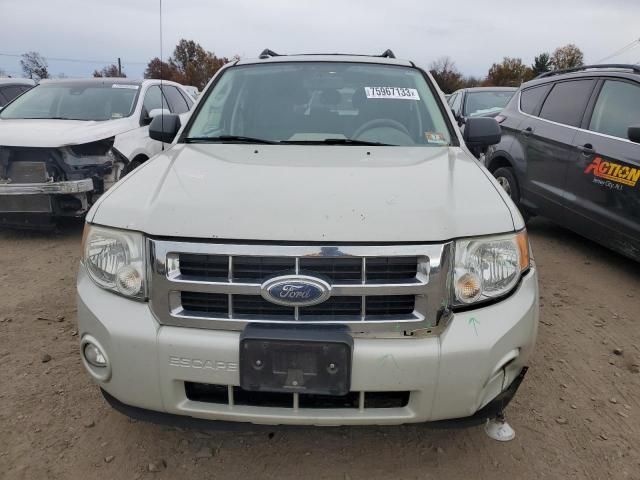 2009 Ford Escape XLT