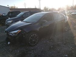 Salvage cars for sale at Columbus, OH auction: 2014 Toyota Corolla L