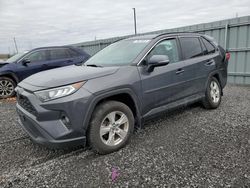 Salvage cars for sale from Copart Ontario Auction, ON: 2020 Toyota Rav4 XLE