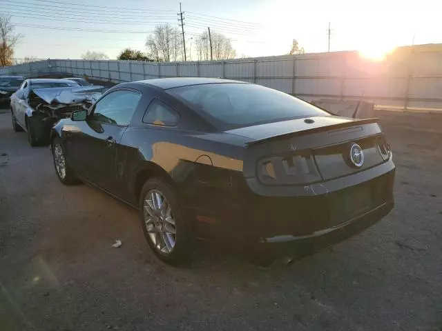 2014 Ford Mustang