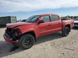 Toyota salvage cars for sale: 2019 Toyota Tacoma Double Cab