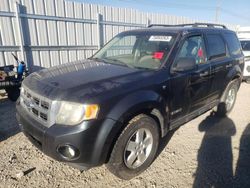 Salvage cars for sale at Nisku, AB auction: 2008 Ford Escape XLT