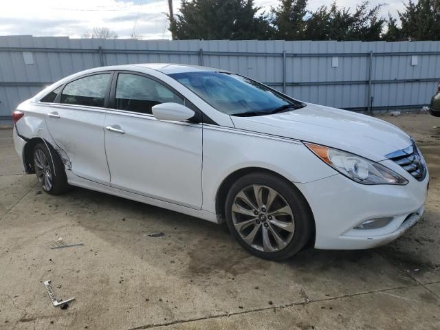 2013 Hyundai Sonata SE