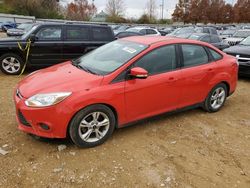 Ford Focus salvage cars for sale: 2014 Ford Focus SE