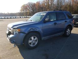 Salvage cars for sale at Glassboro, NJ auction: 2009 Ford Escape XLT