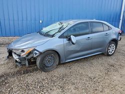 Toyota Corolla le Vehiculos salvage en venta: 2021 Toyota Corolla LE