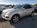 2010 Mercedes-Benz ML 350