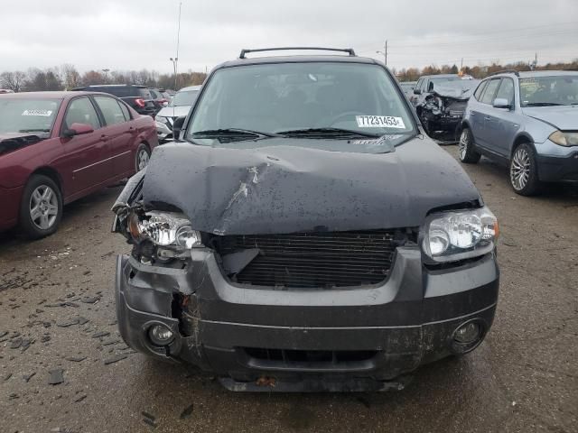 2005 Ford Escape XLT