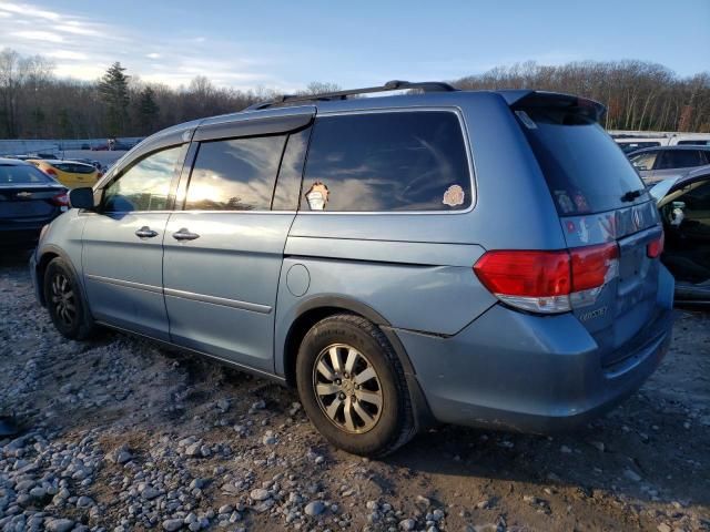 2010 Honda Odyssey EXL