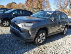 Salvage cars for sale from Copart North Billerica, MA: 2019 Toyota Rav4 XLE