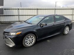 Salvage cars for sale from Copart Airway Heights, WA: 2023 Toyota Camry LE