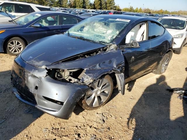 2020 Tesla Model Y