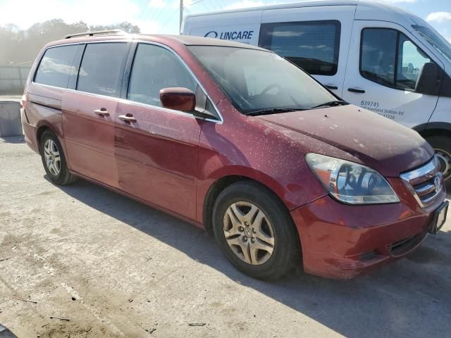 2005 Honda Odyssey EX