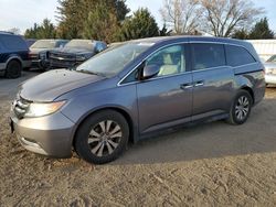 Salvage cars for sale from Copart Finksburg, MD: 2015 Honda Odyssey EXL