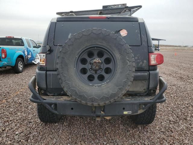 2010 Toyota FJ Cruiser