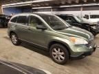 2007 Honda CR-V EXL