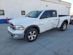 Salvage trucks for sale at Farr West, UT auction: 2010 Dodge RAM 1500