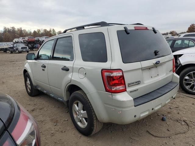 2009 Ford Escape XLT