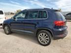 2014 Volkswagen Tiguan S