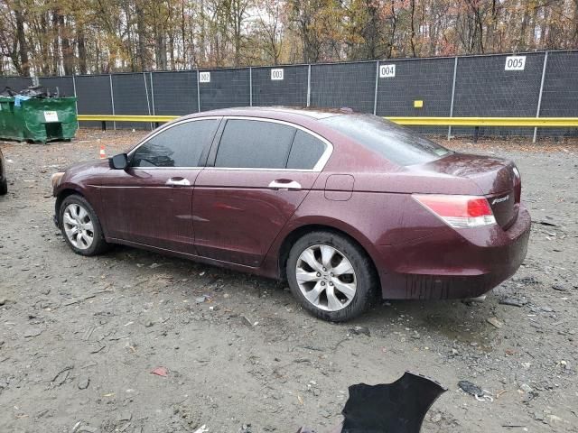 2010 Honda Accord EXL