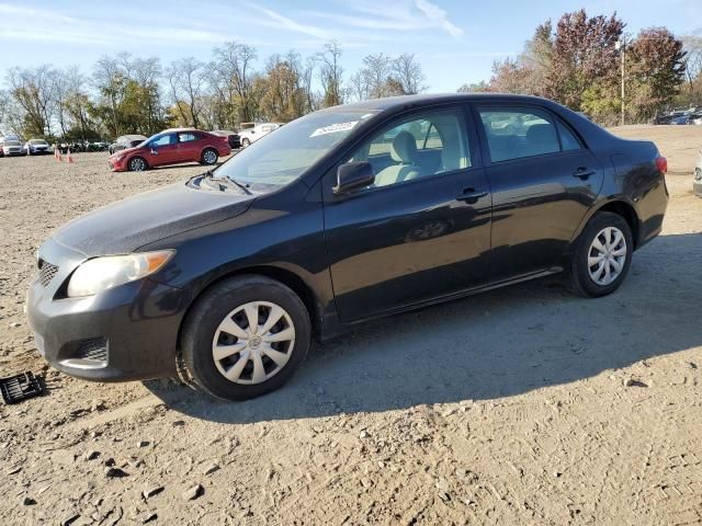 2010 Toyota Corolla Base